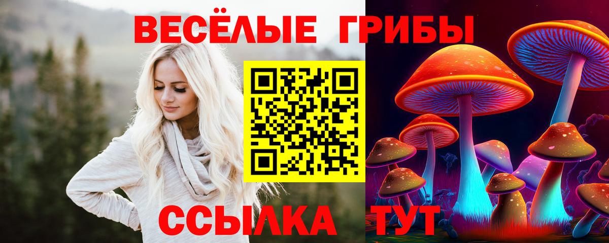 Галлюциногенные грибы ЛСД Набережные Челны